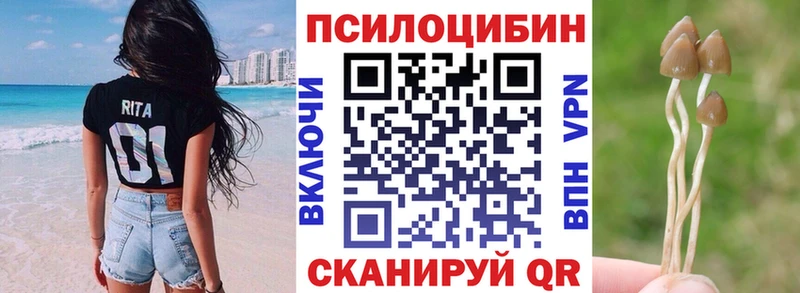 блэк спрут онион  закладки  Гаврилов-Ям  Псилоцибиновые грибы Magic Shrooms 